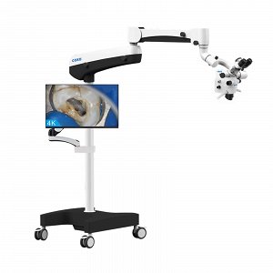 Coxo C-Clear 2 Zoom Standard Version