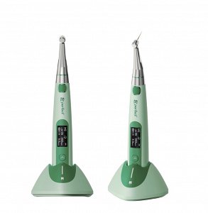 Dental Perfect BR Rap