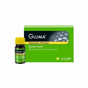 Kulzer Gluma Ceramic Primer