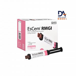 Spident EsCem RMGI