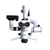 Coxo C-Clear 2 Basic Edition