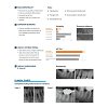 Diadent Dia-Root Bio Sealer