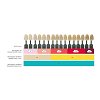 Dentsply Neo Spectra ST Intro Kit