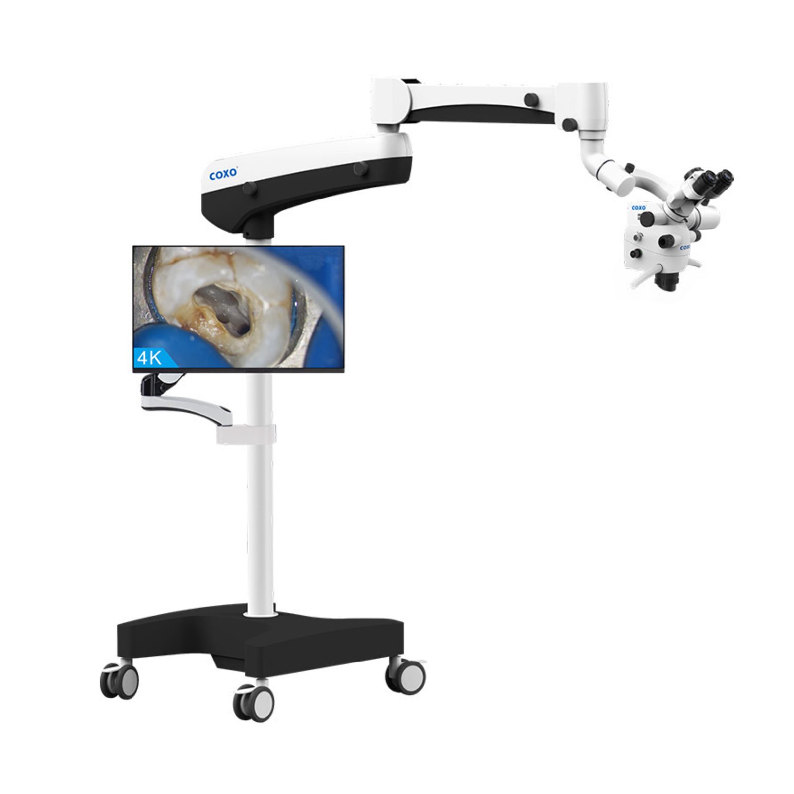 Coxo C-Clear 2 Zoom Standard Version 1 Coxo C-Clear 2 Zoom Standard Version