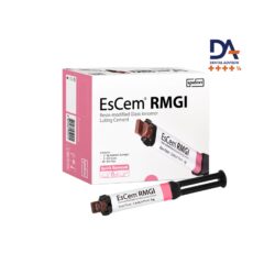 Spident EsCem RMGI